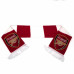 Šál pre fanúšikov ARSENAL F.C. Bar Scarf